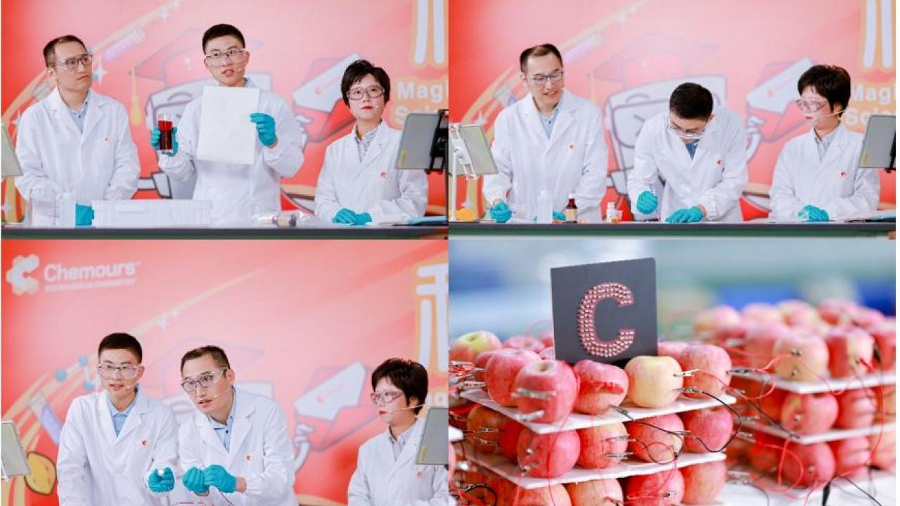 A collage of four images of people in protective lab gear doing an experiment with apples.