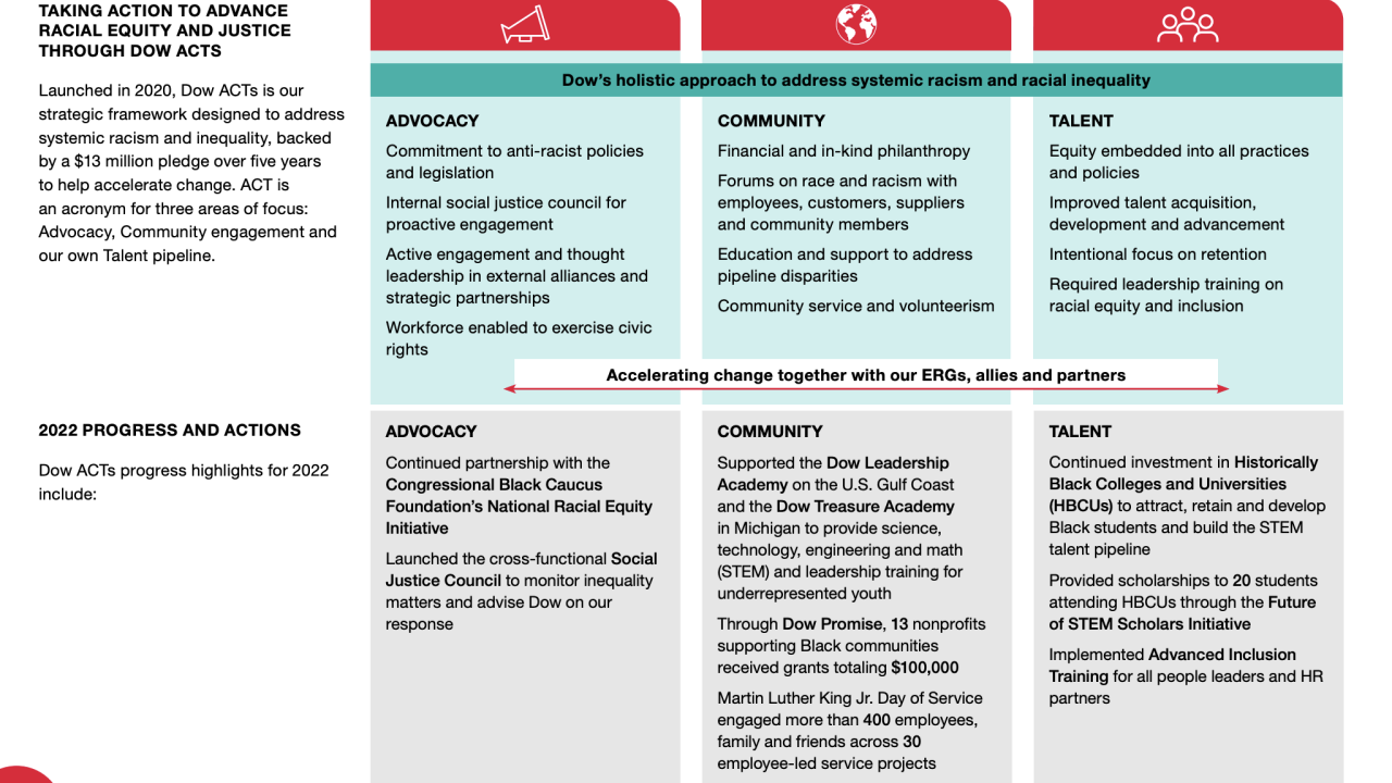 "Dow’s holistic approach to address systemic racism and racial inequality" infographic