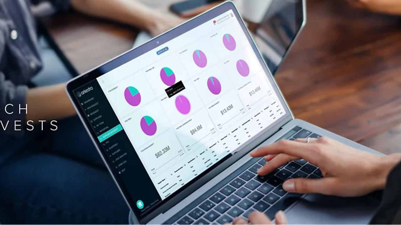 a person using a laptop, many pie charts on the screen