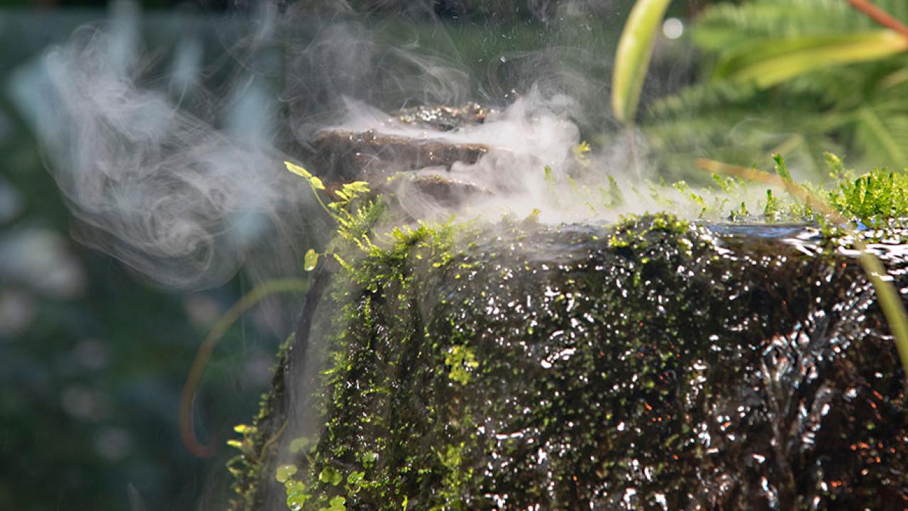 vapor rising from mossy rock