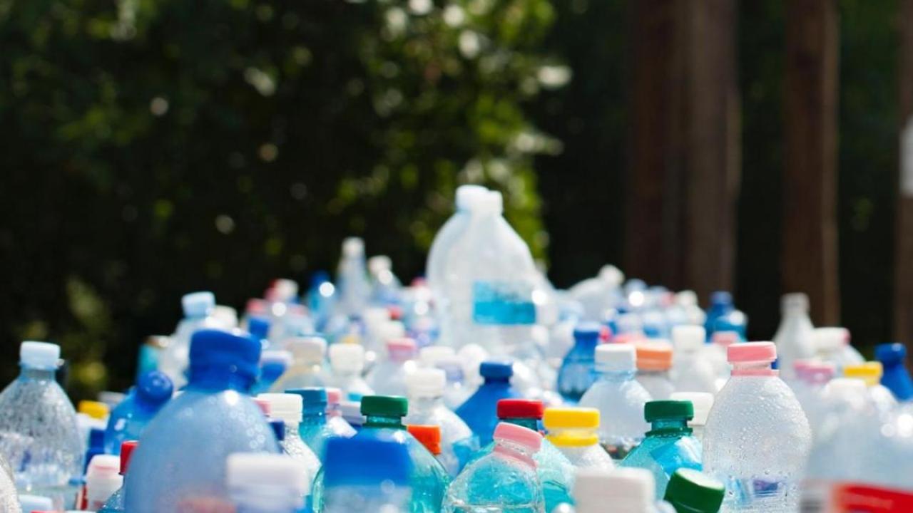 Plastic Bottles