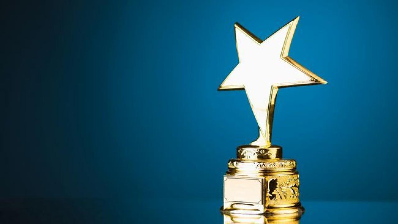 A golden award with a blue backdrop.