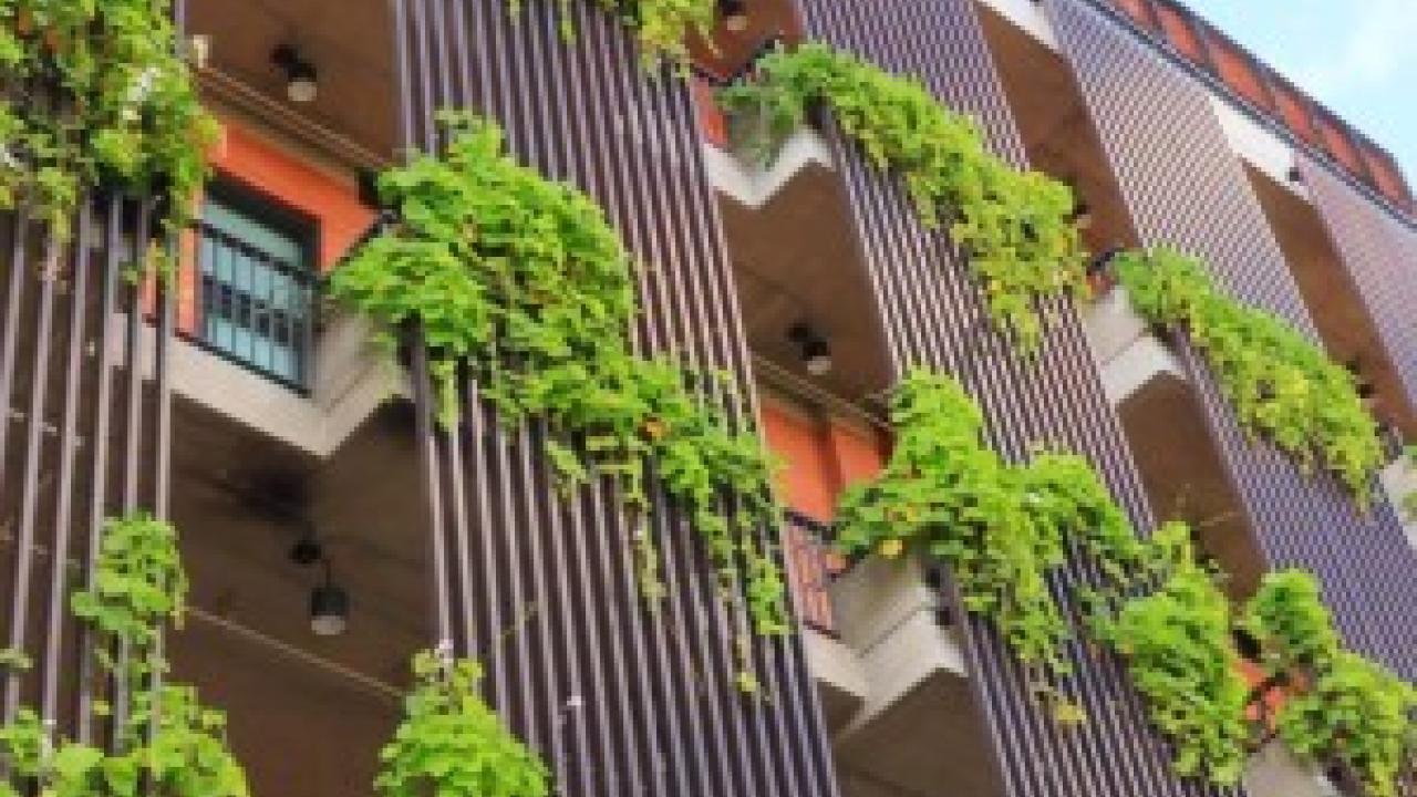 Balcony gardens