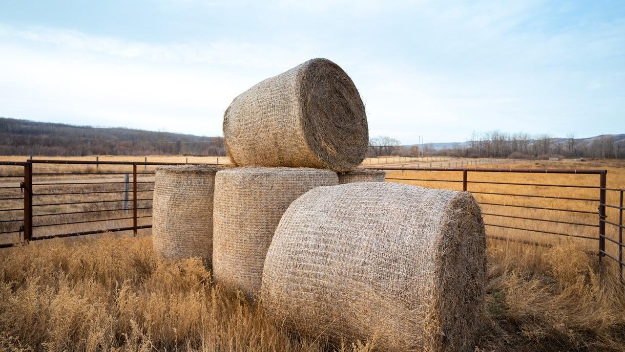 round hay bales