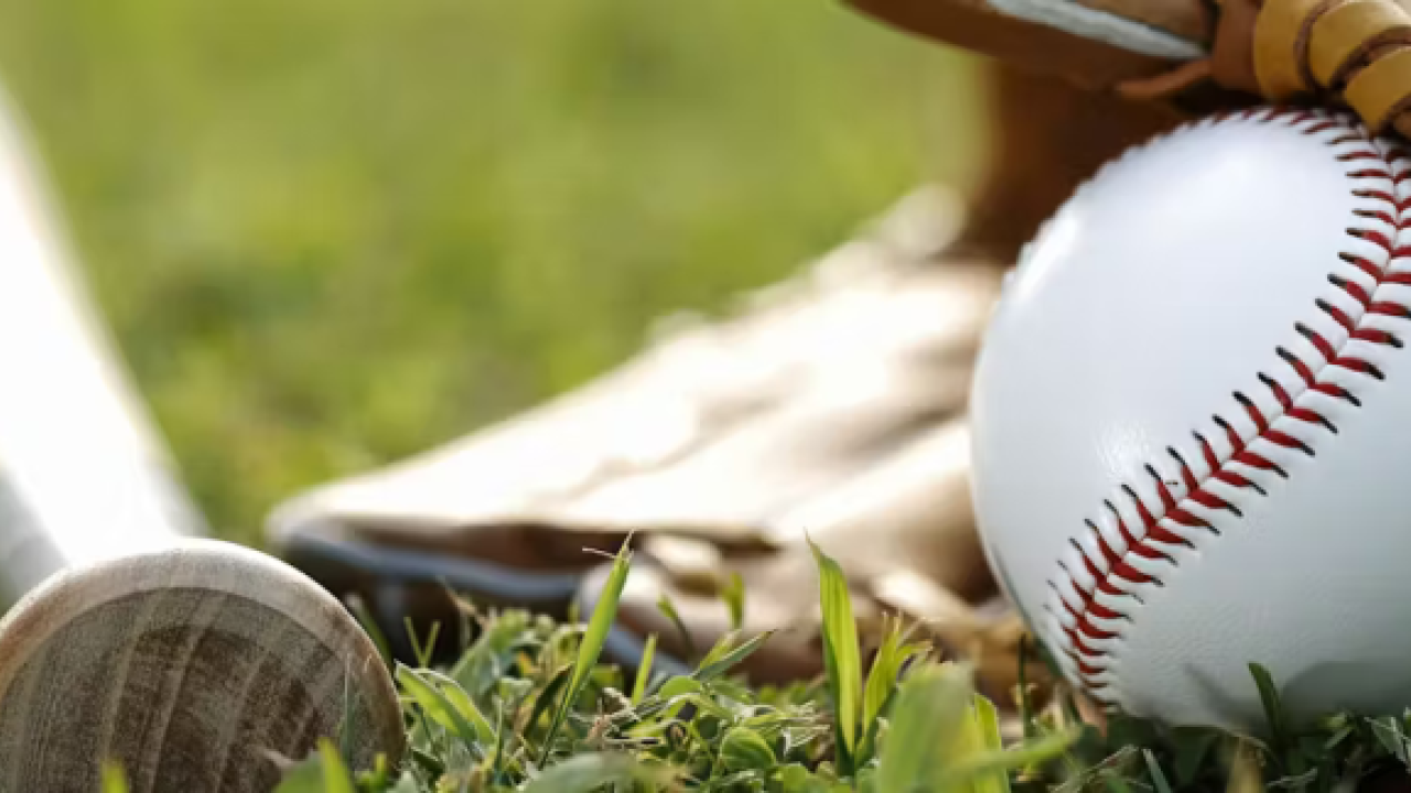 Close up of a baseball bat, glove and ball on grass.