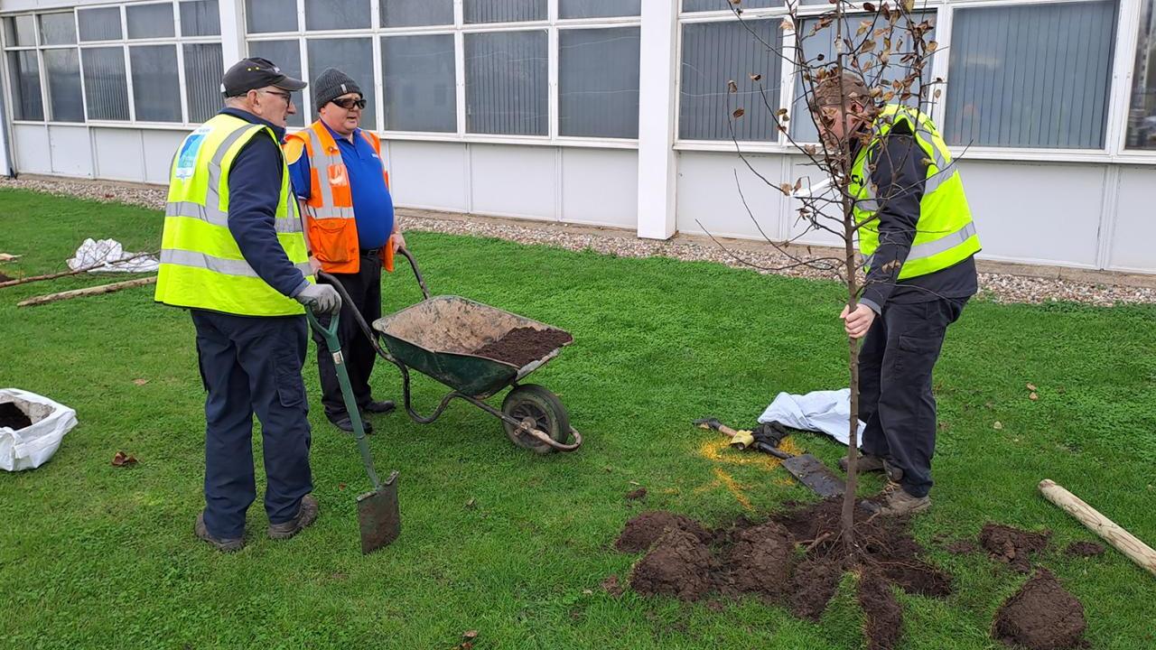 People planting a tree next to a building