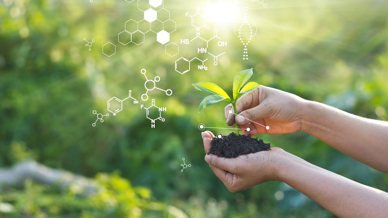 biochemistry symbols coming from a plant with a background of greenery 
