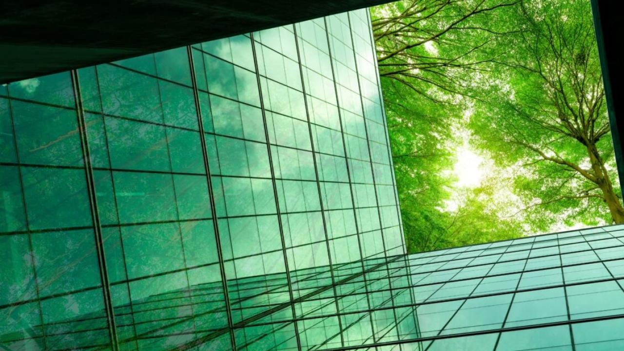 Looking up at a glass building and tree