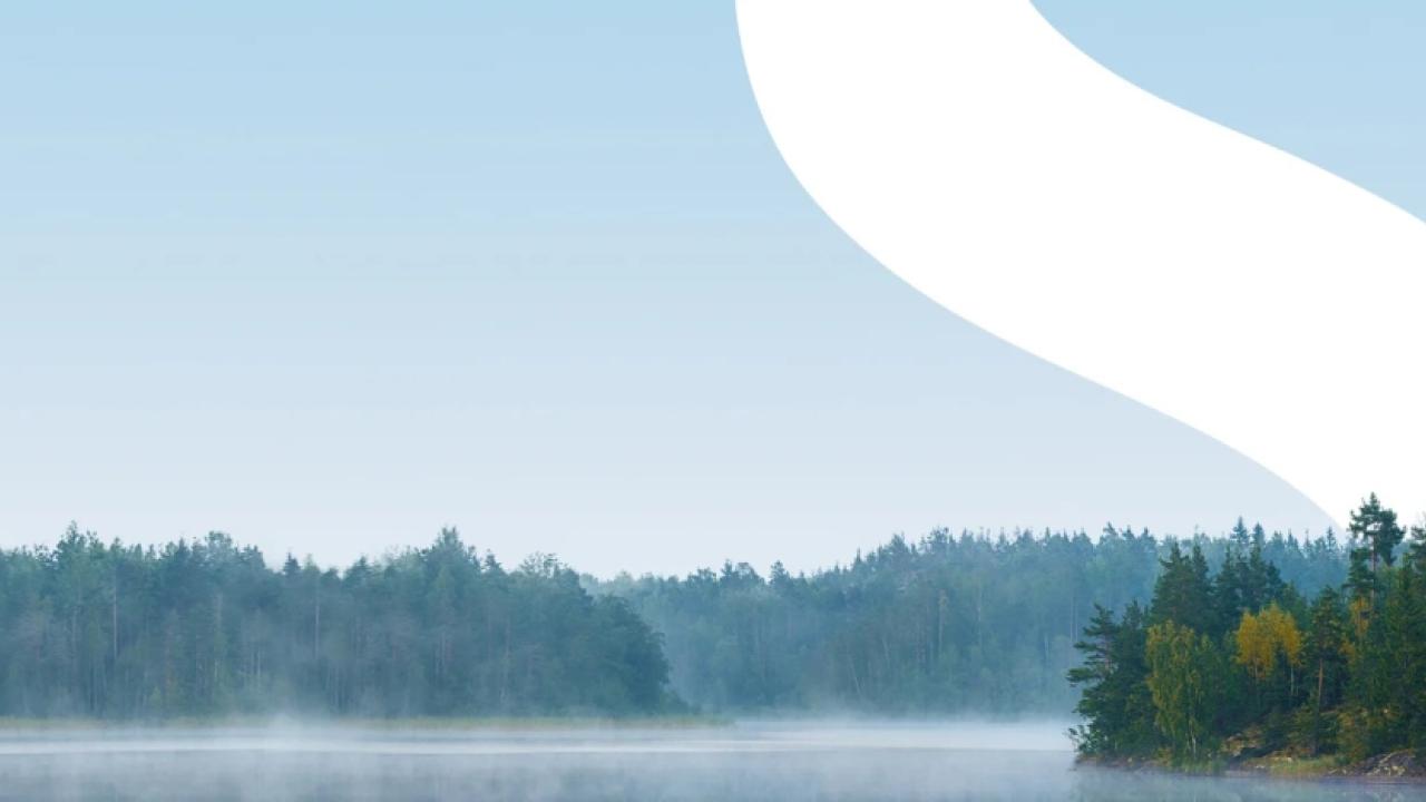 body of water with mist and trees on shoreline with a white abstract line through it