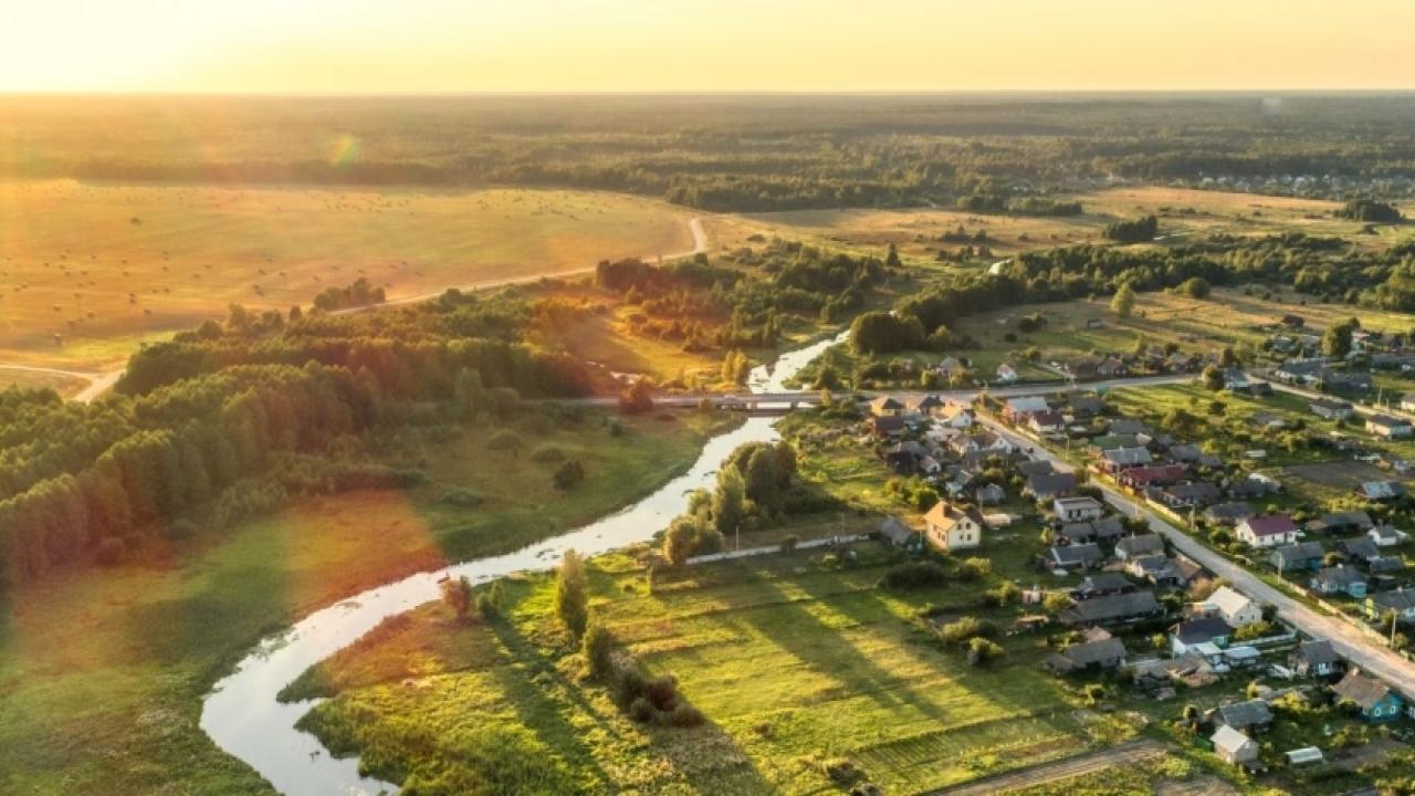 Green landscape