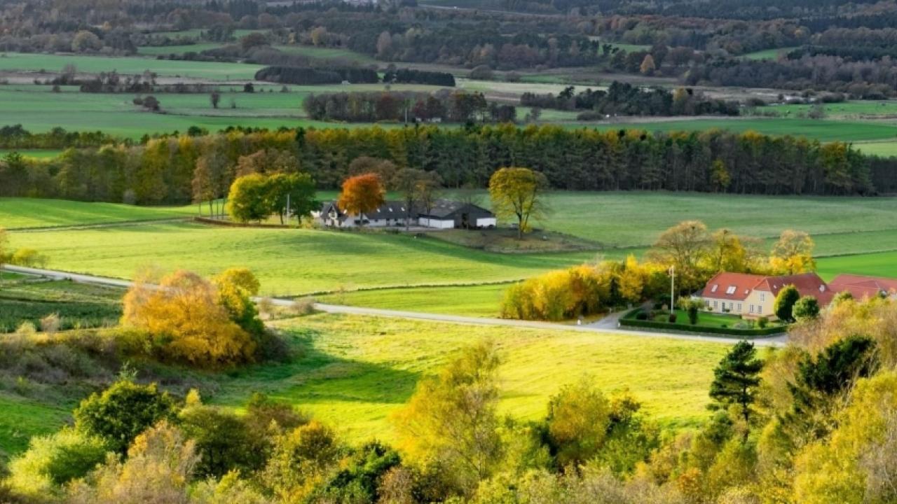 panoramic landscape with fields, houses, hedges, trees 