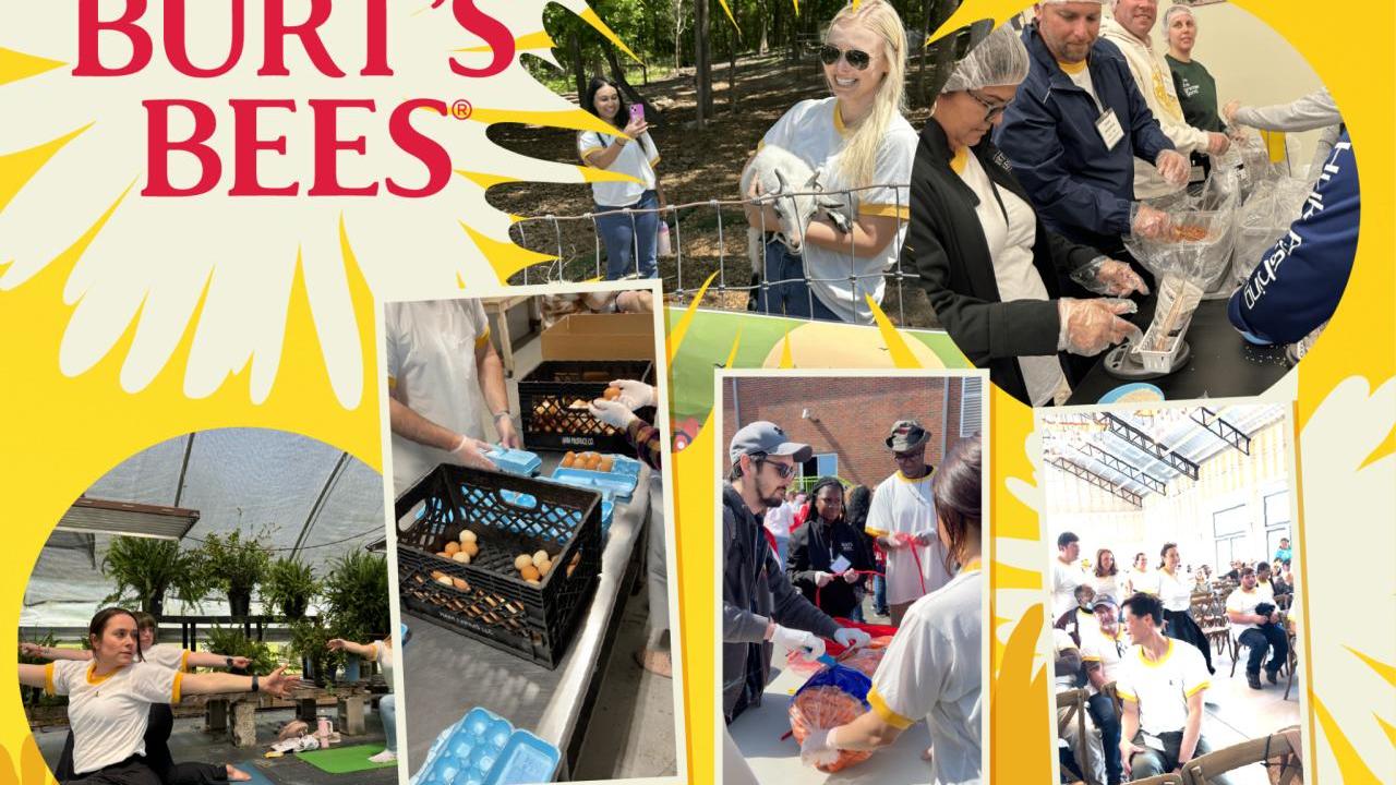 "Burt's Bees" and a collage of people doing volunteer work, yoga, and meeting together.