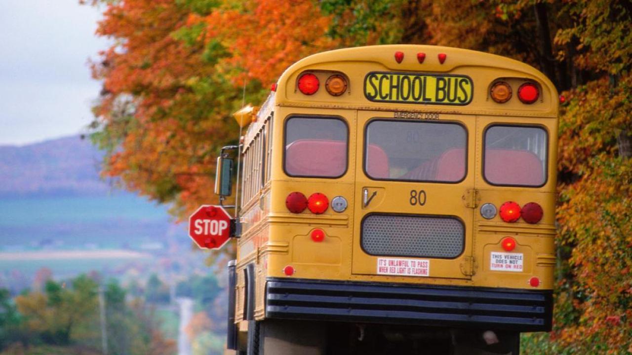 School Bus