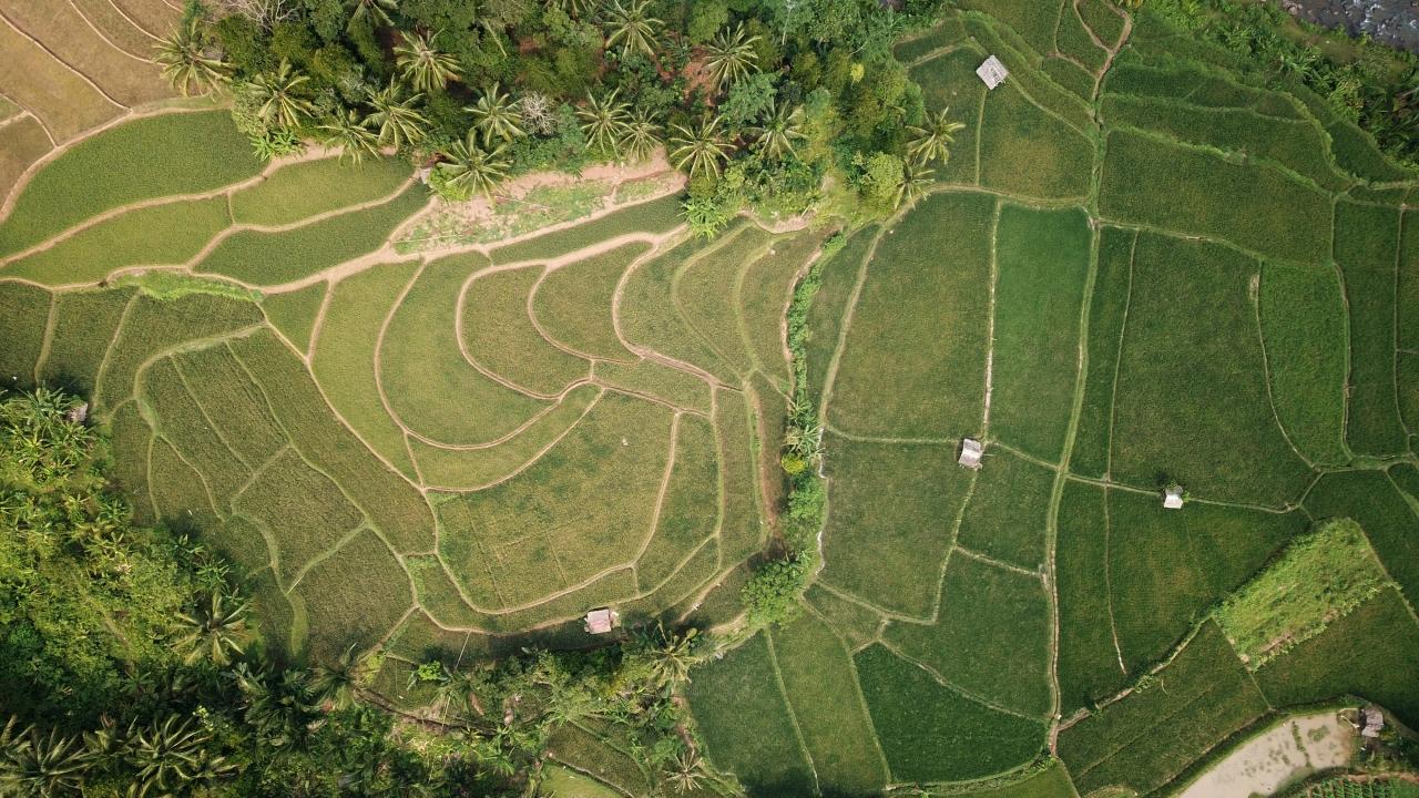 Aerial view of fields.