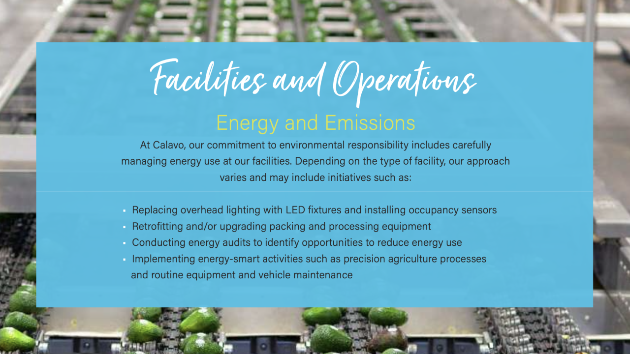 Facilities and Operations text over an image of avocados on conveyor belts