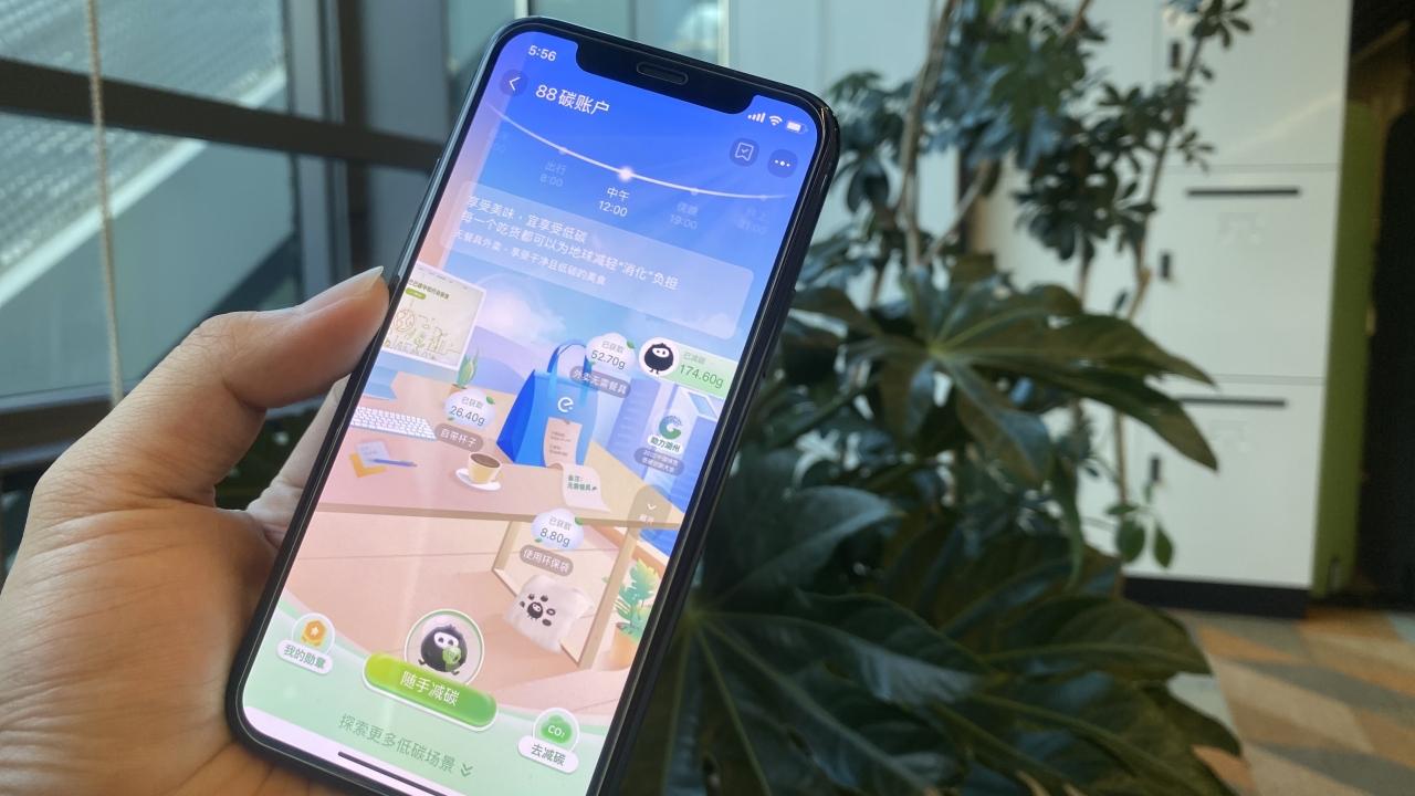 a hand holding a cell phone open to the carbon ledger app. A houseplant, filing cabinets and windows in the background
