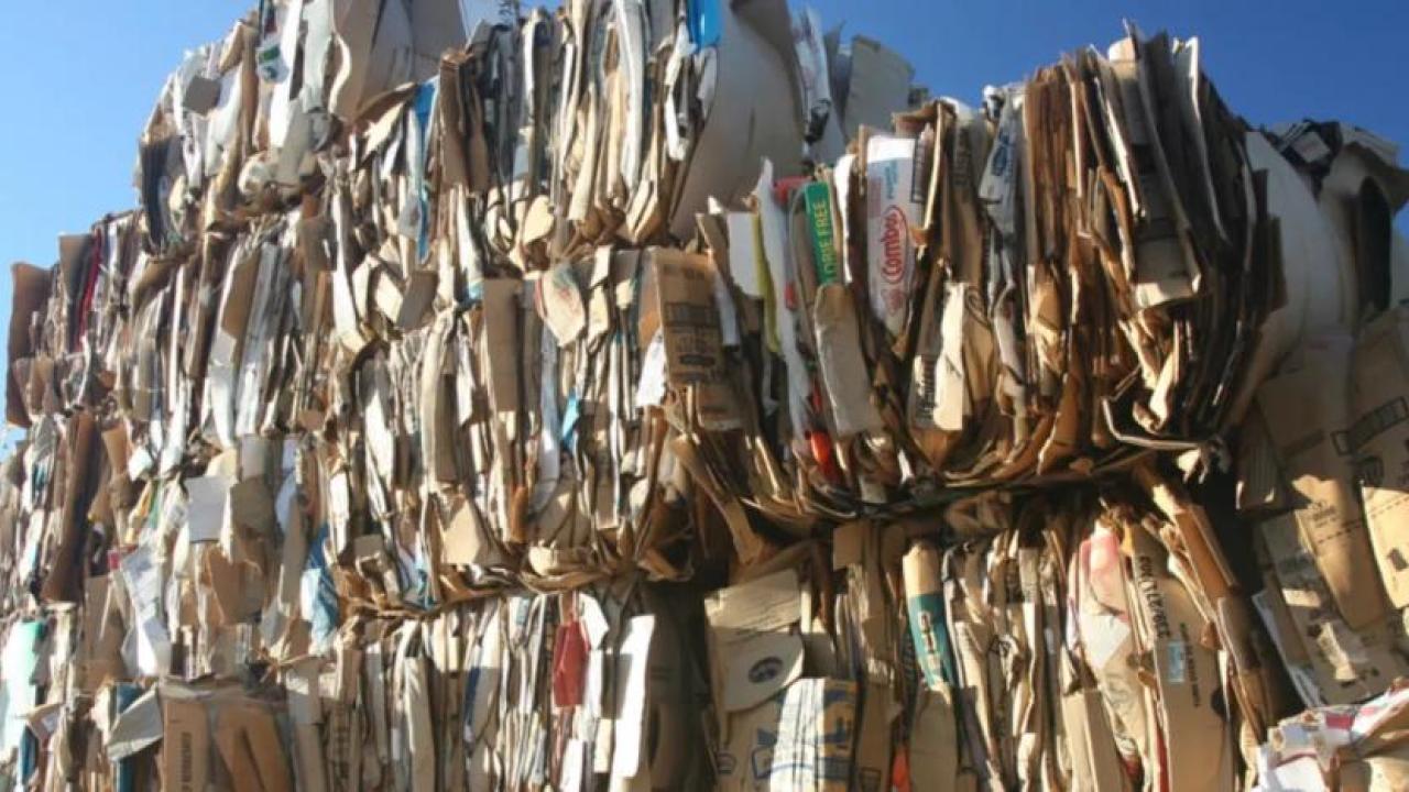 Large stacks of bundled cardboard outside