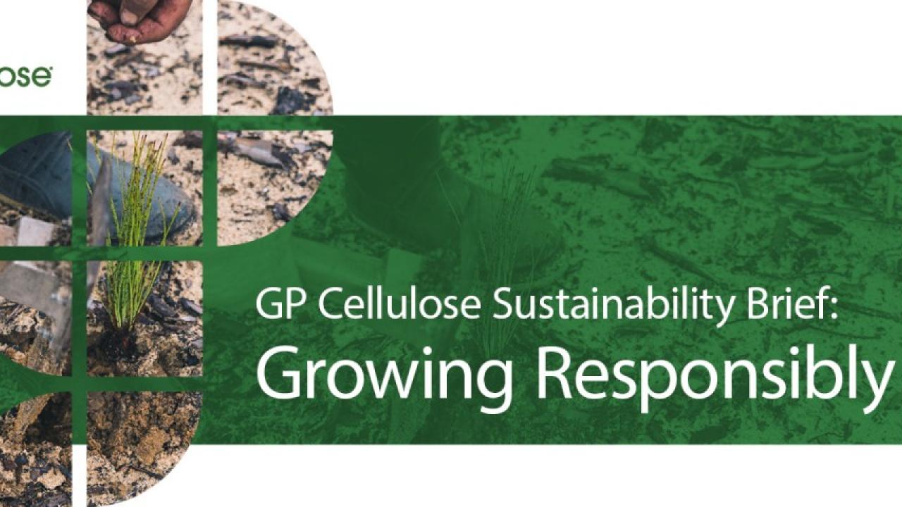 gpcellulose logo and "GP Cellulose Sustainability Brief: Growing Responsibly"