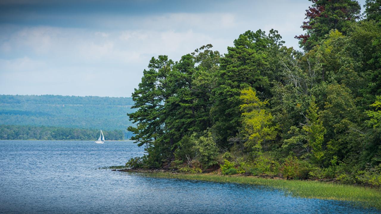 A calm body of water next to trees
