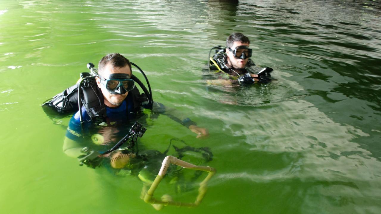 Two people in scuba gear in the water