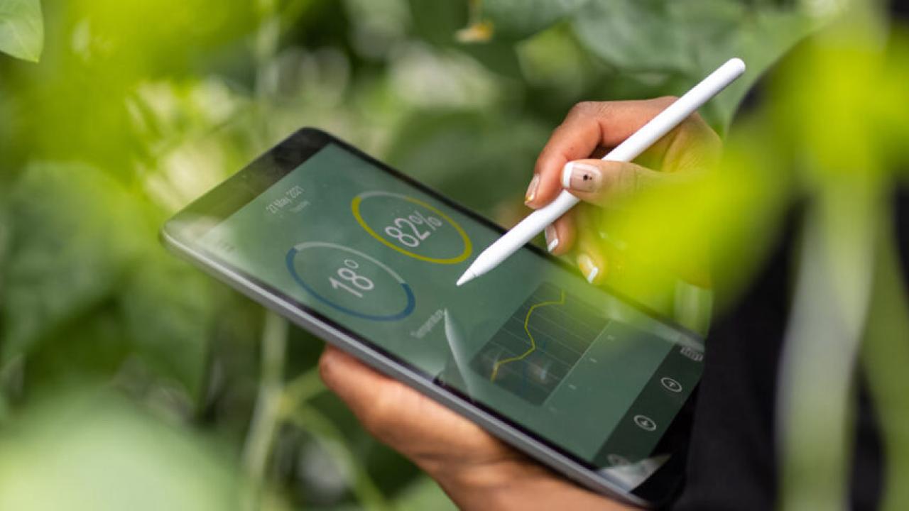 Tablet with charts
