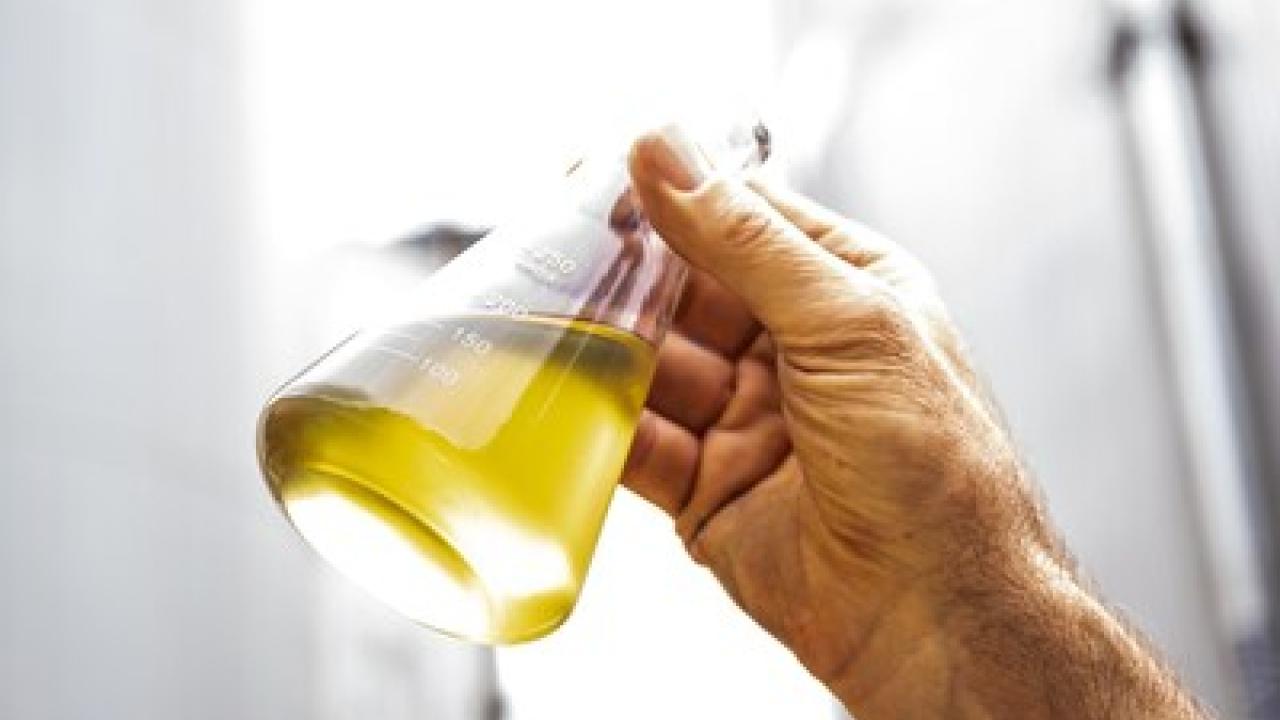 A hand holding a beaker of yellow liquid