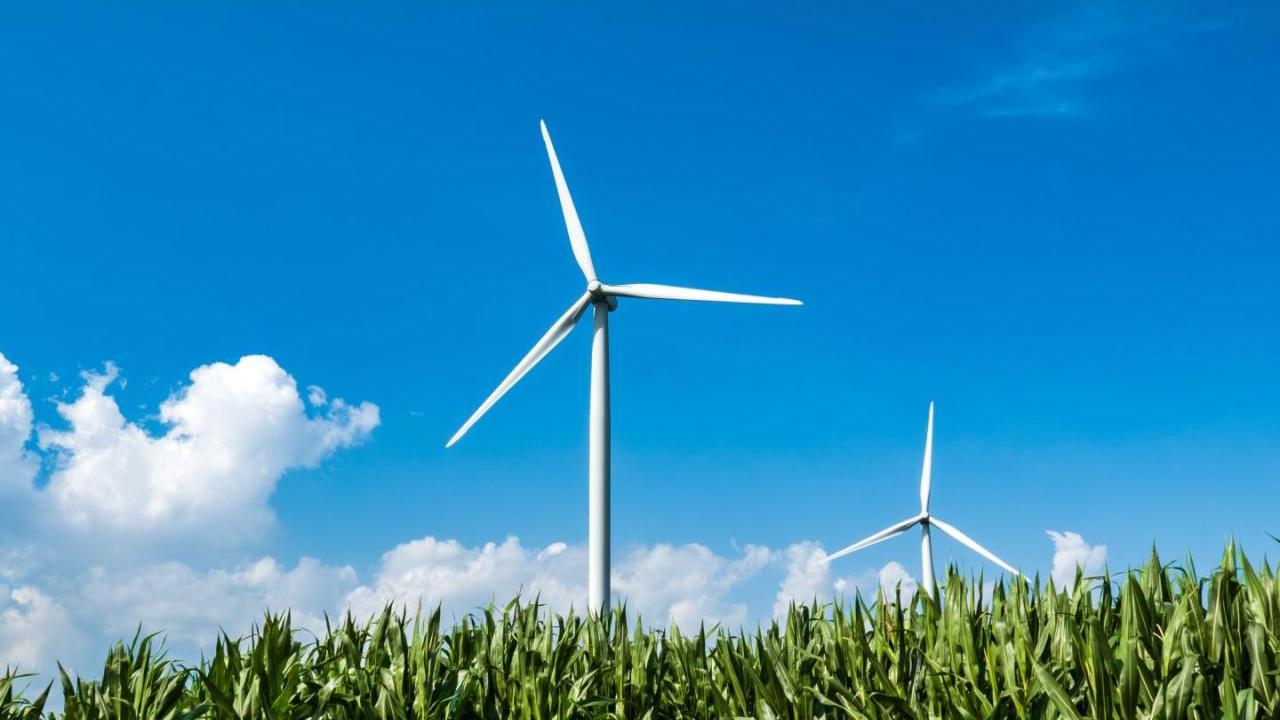 wind turbine over field