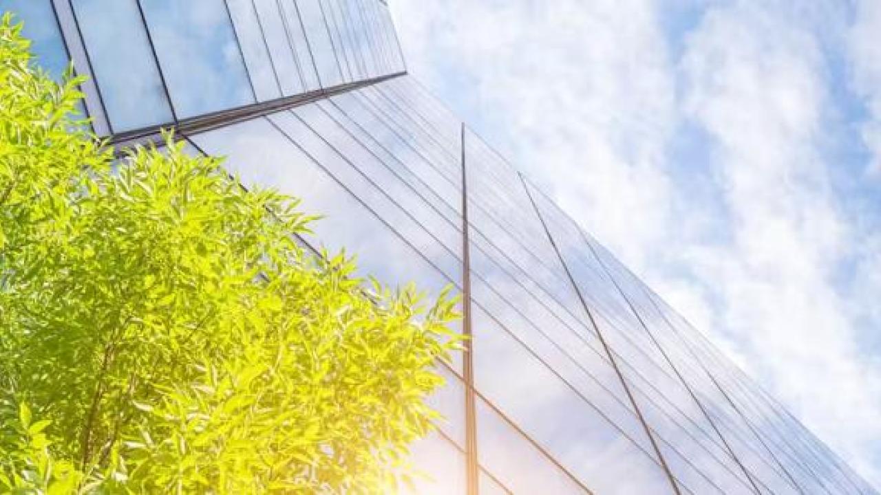 Looking up the side of a city building towards the sky, with a tree in front on the building 