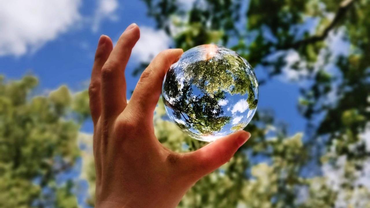 A hand holding a small clear globe. Trees and blue sky behind it.