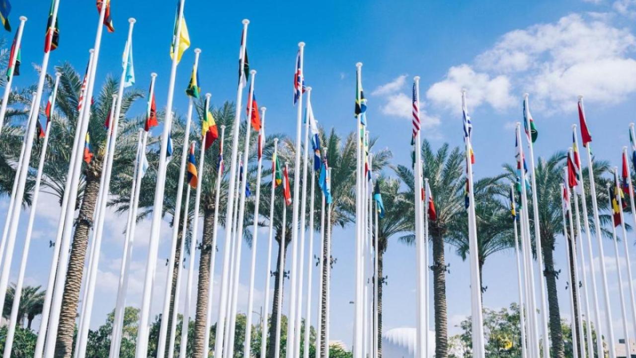 did COP28 deliver?