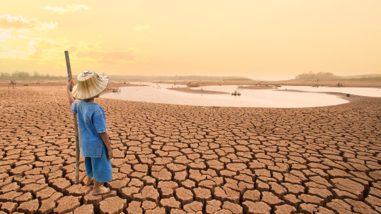Person standing in desert