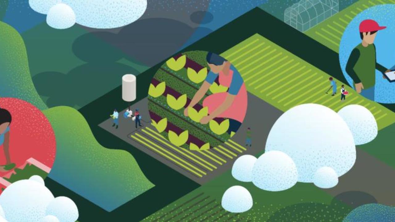 Abstract image of a farm field, three zoomed in circles of people planting, and crops.