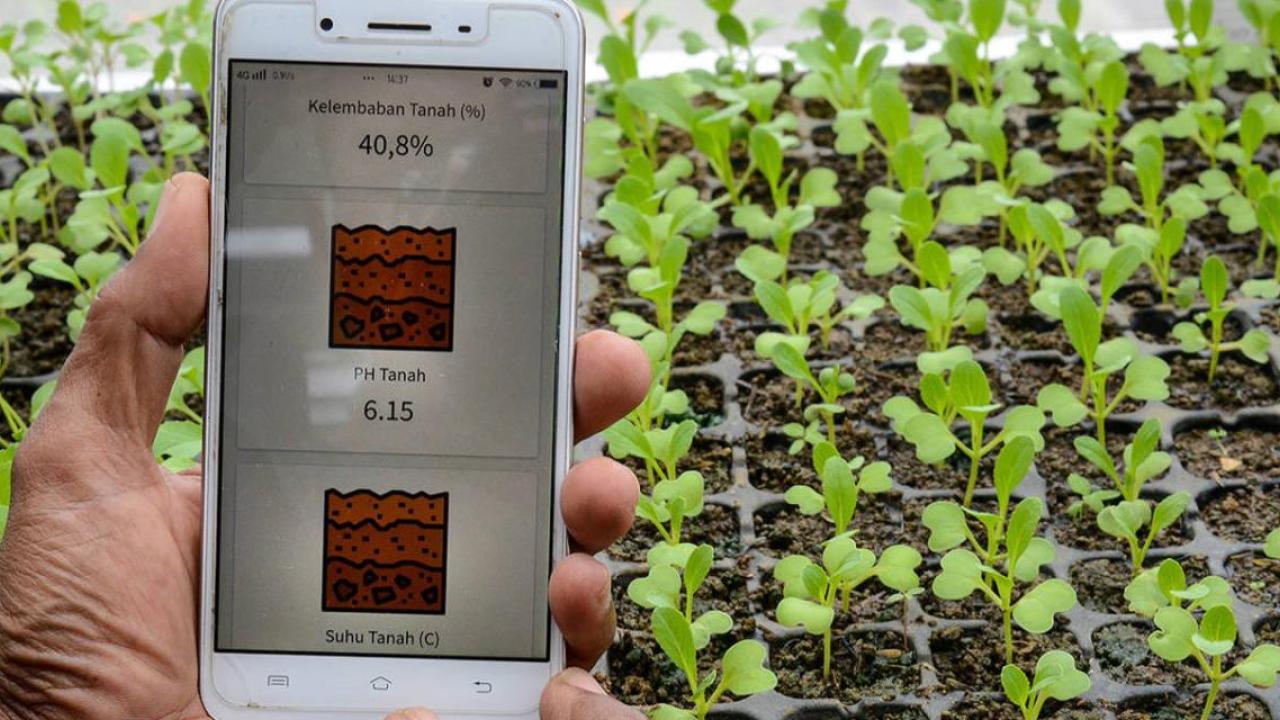 A person holding a cellphone open to an app with PH levels showing. Rows of seedlings behind them.