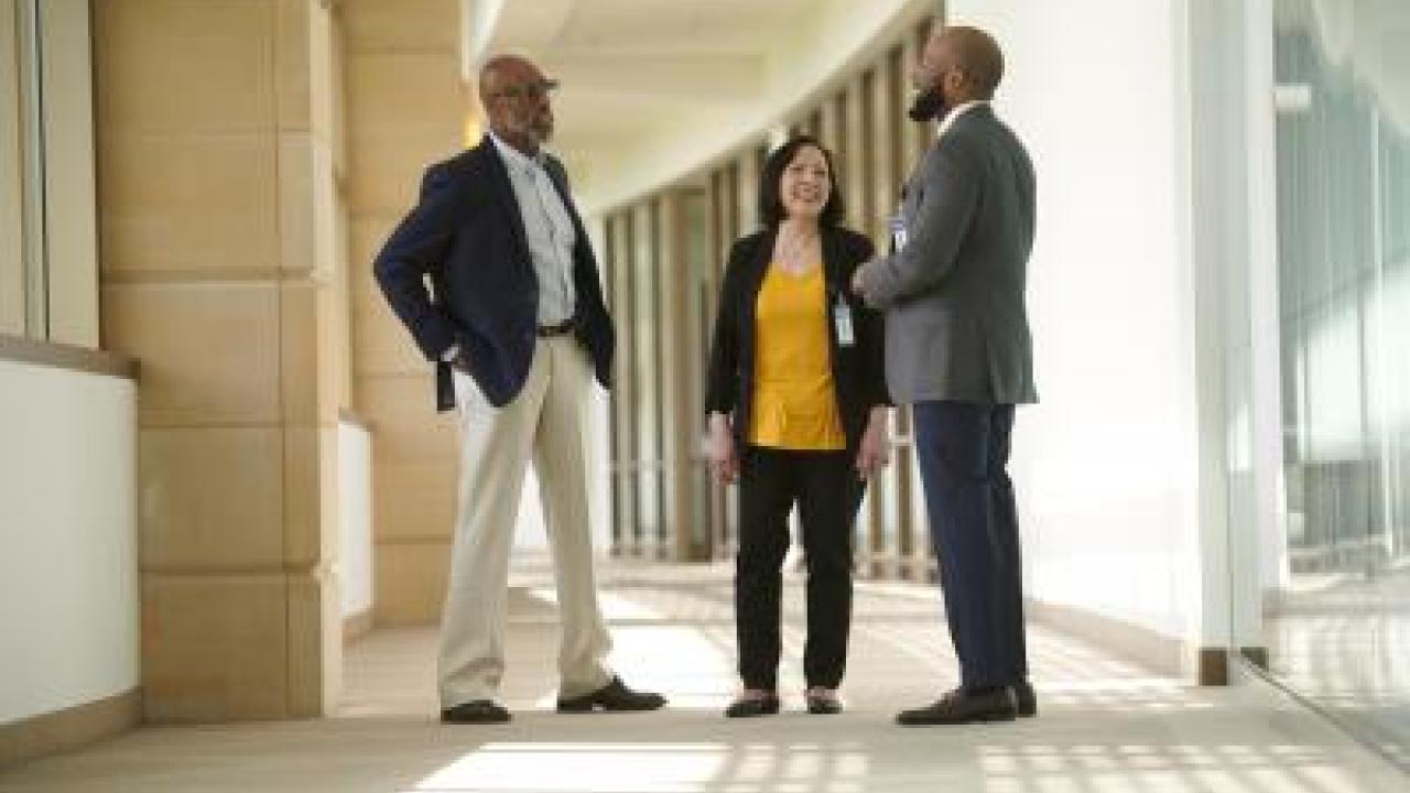 colleagues talking together 