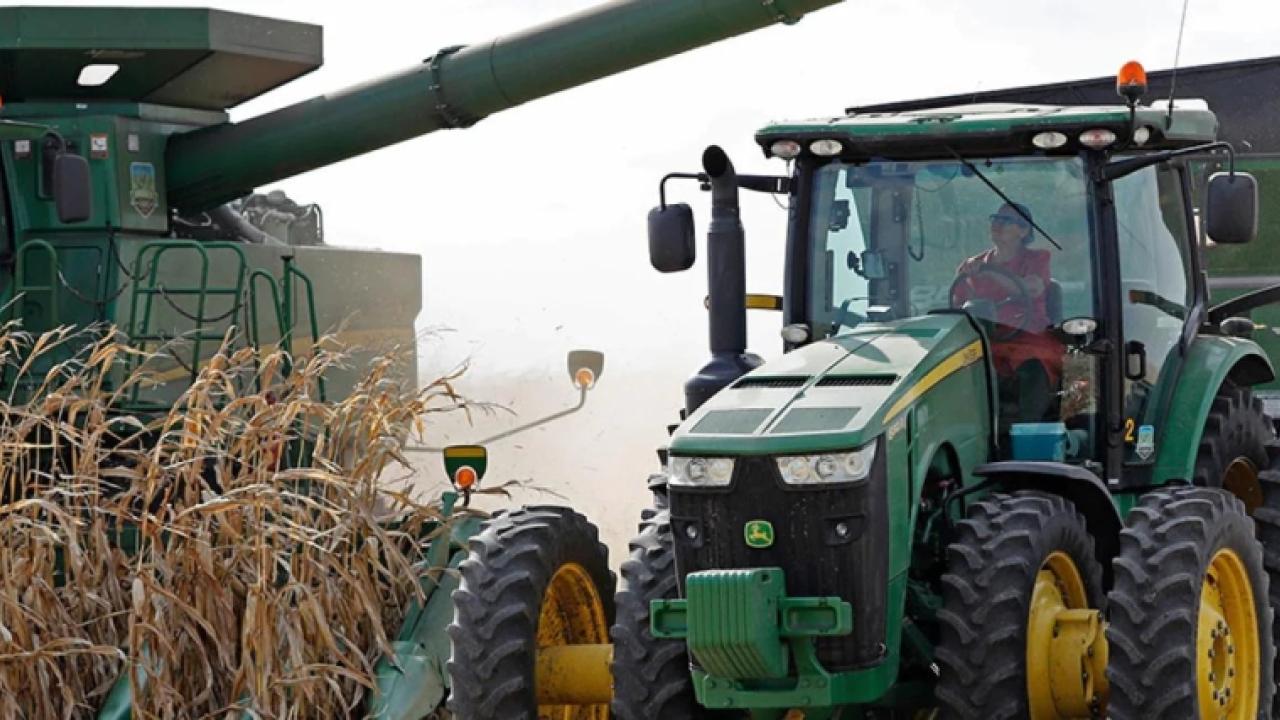 a combine harvesting corn