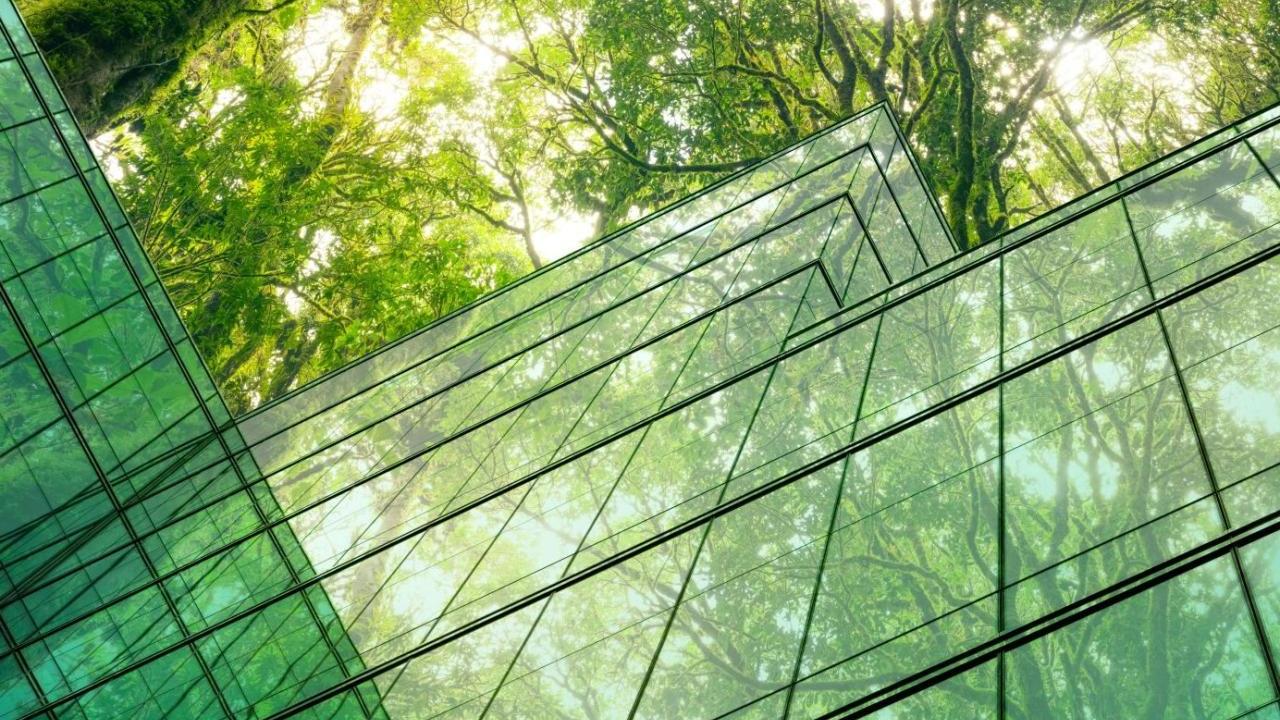 Glass sided building imposed over a canopy of trees.