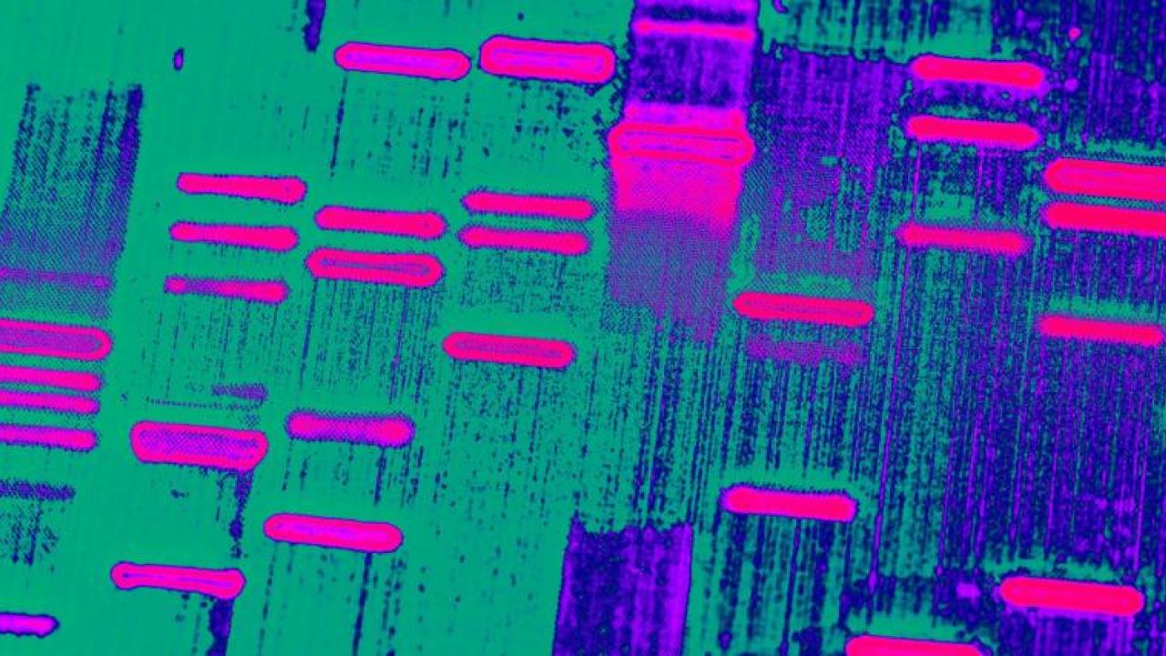 stylized image of DNA sequencing