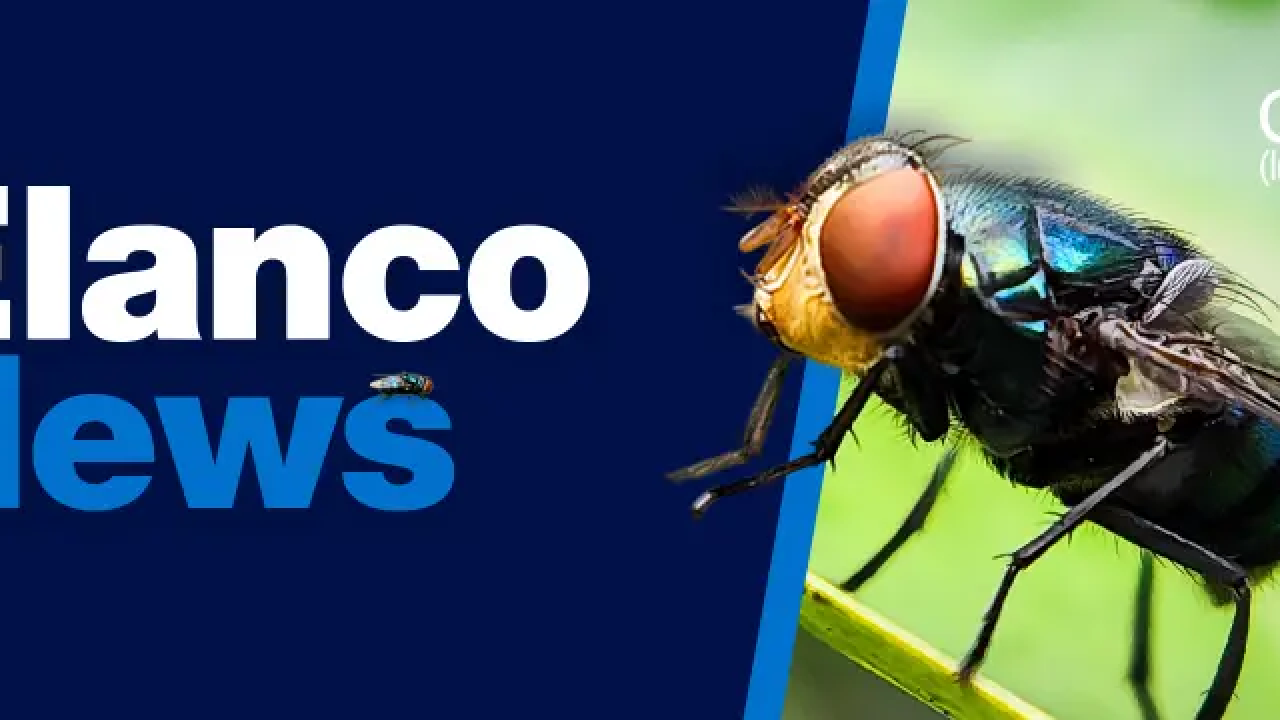 Elanco News: Credelio