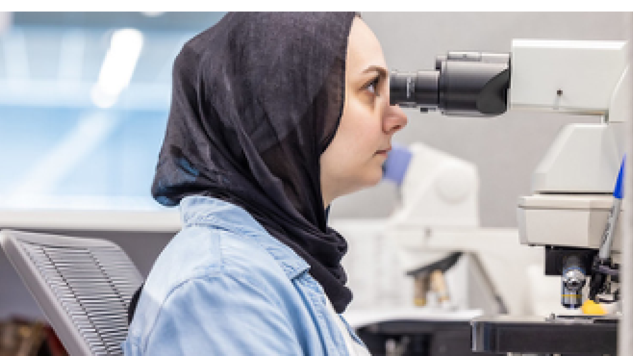 A person looking in a microscope in a lab setting