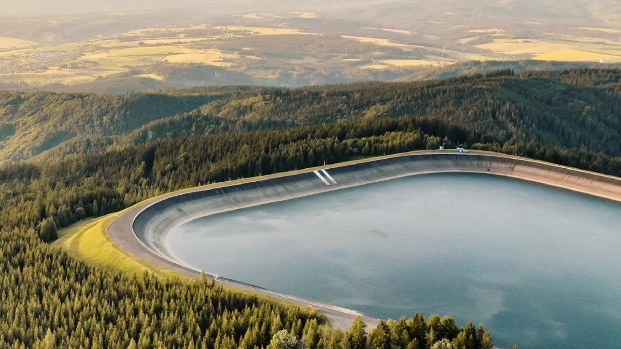 reservoir and forest