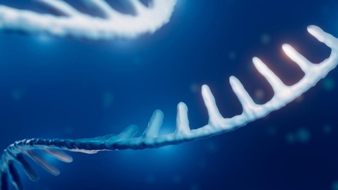digital rendering of RNA strands in a blue background