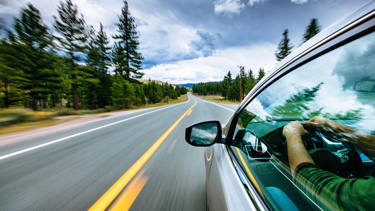  car driving on a woodland road
