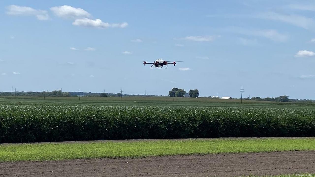 a drone flying over a field of soybeans