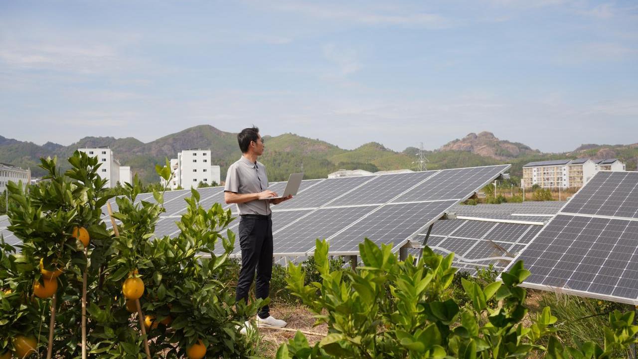 person and an array of solar panels