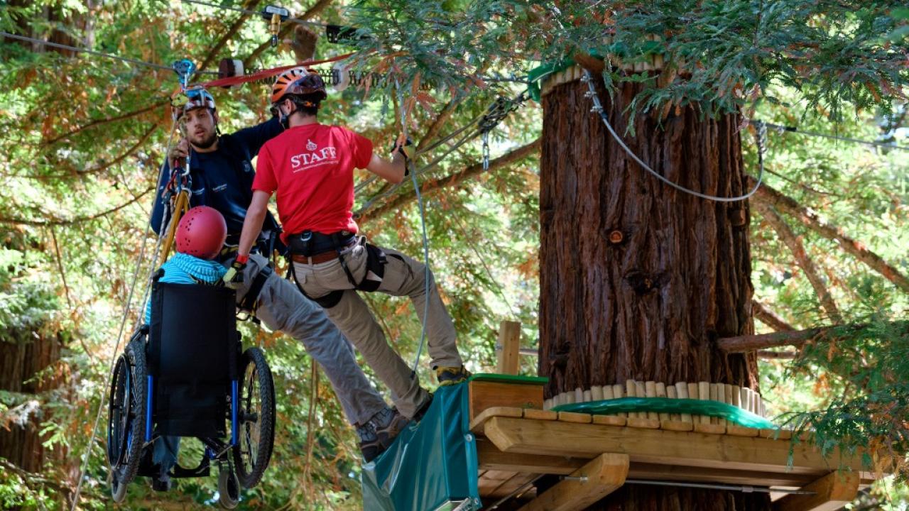 teens helping each other with a tree climbing activity 