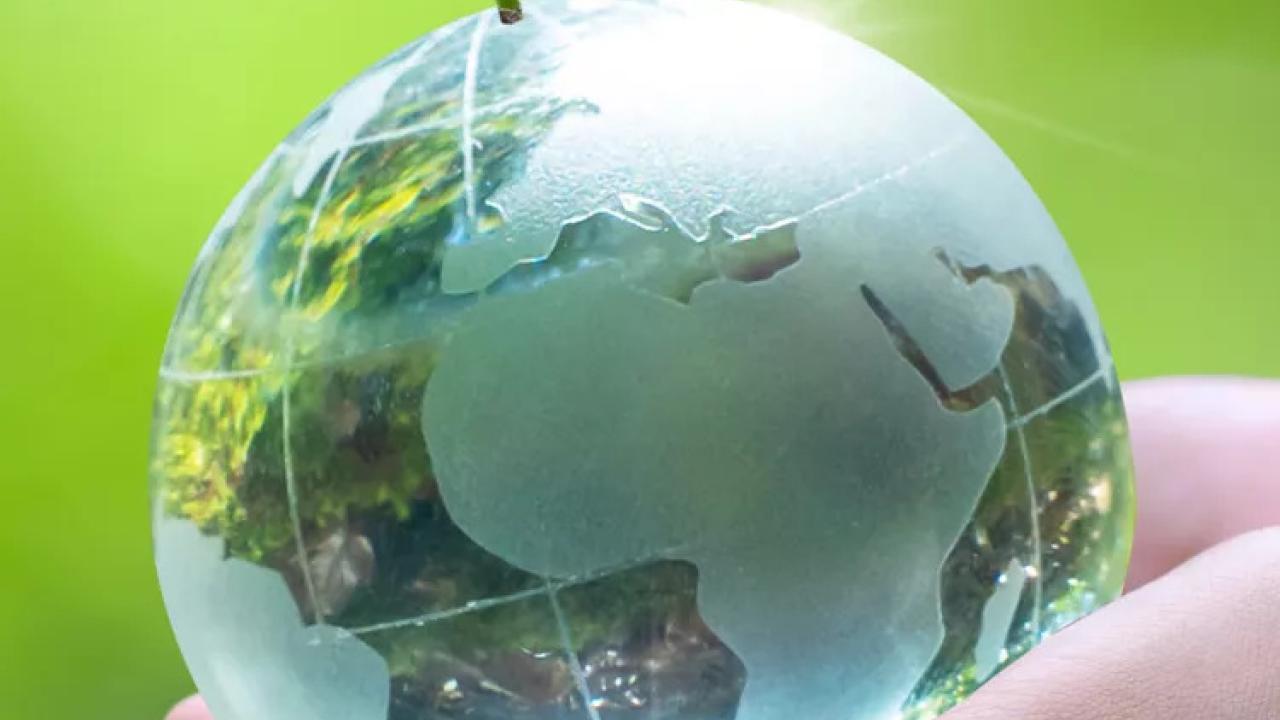 Two hands holding a crystal globe. Green leaves sprouting from the top.