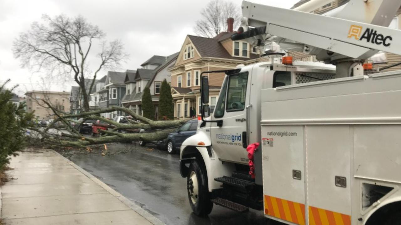 National Grid truck blocked by downed tree in street