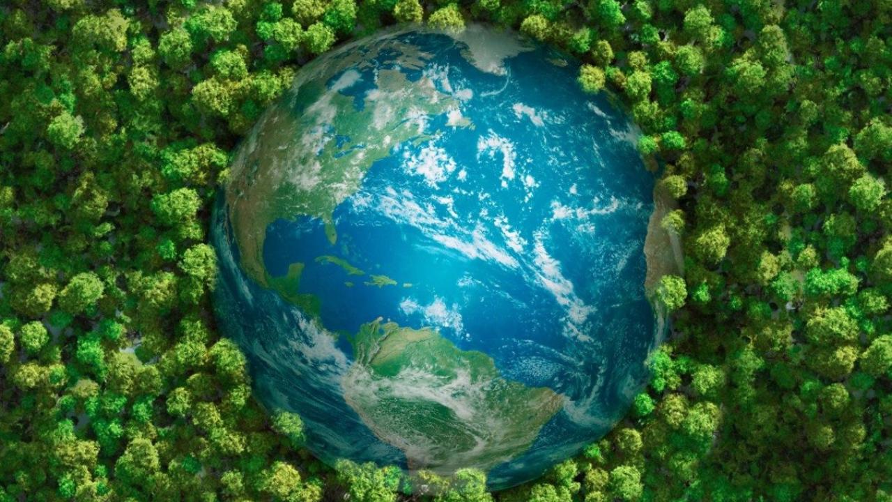 globe surrounded by trees