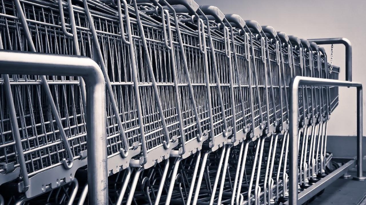 Shopping carts lined up.