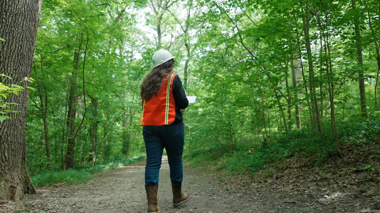 person walking through a forest